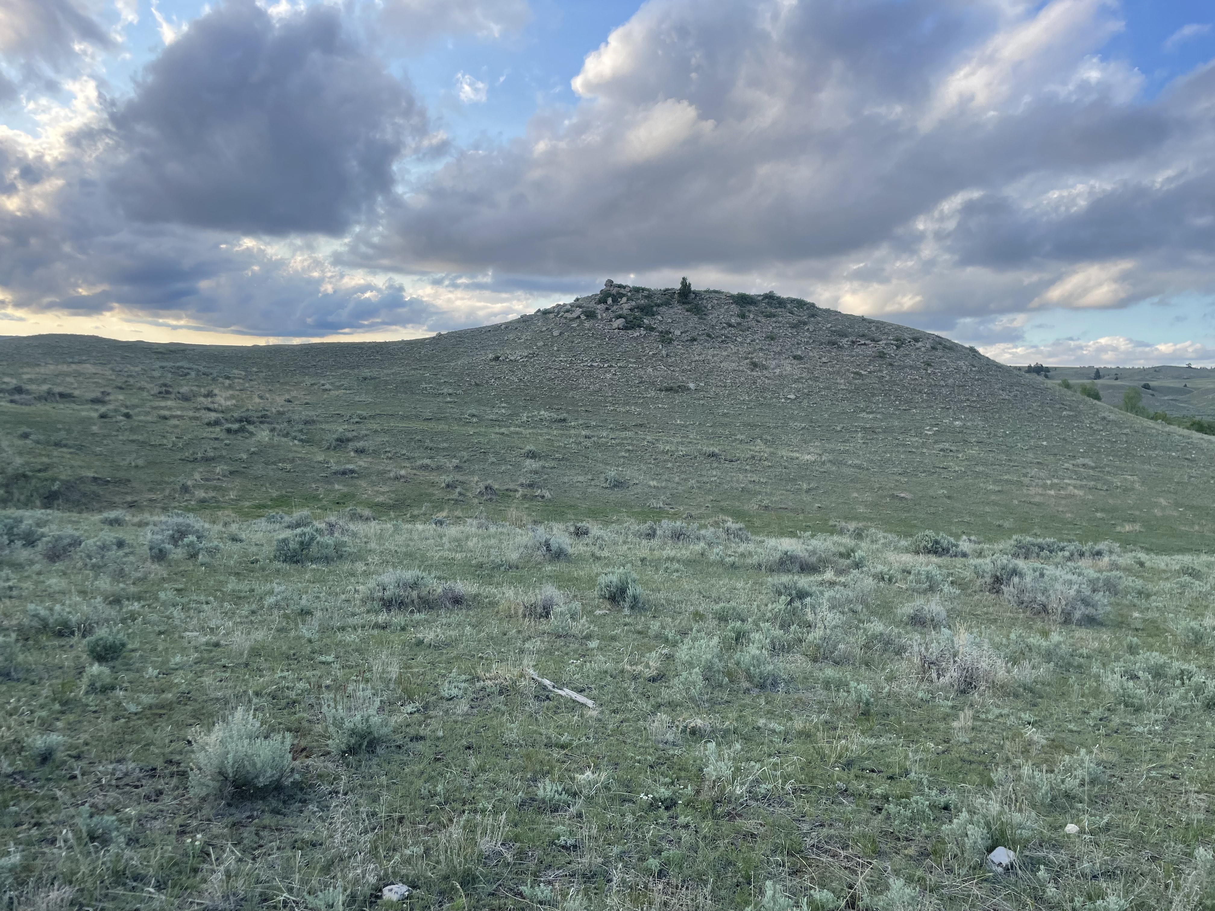 Saddle Rut Hill